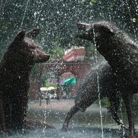 Casa Kalidy Coyoacan 멕시코 시 외부 사진