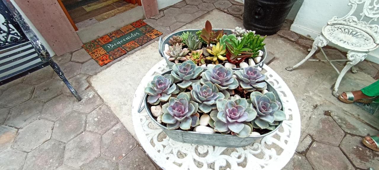 Casa Kalidy Coyoacan 멕시코 시 외부 사진